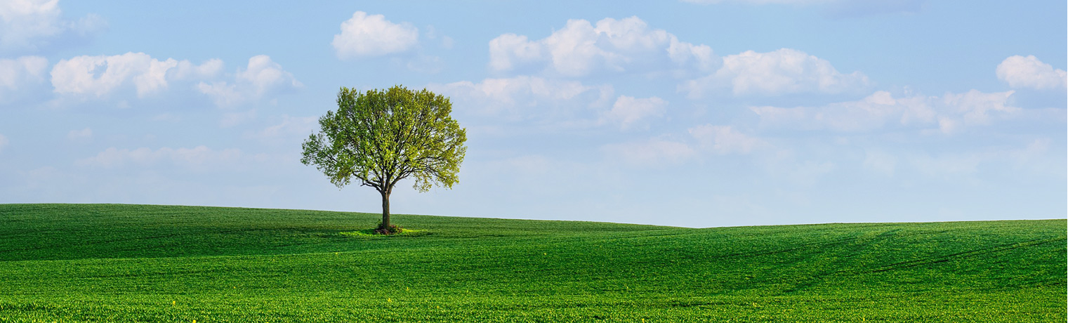 BCF紡絲試驗機，BCF紡絲試驗機那家生產(chǎn)，BCF紡絲試驗機優(yōu)質生產(chǎn)商，山東BCF紡絲試驗機廠家， 淄博方辰機械科技有限公司